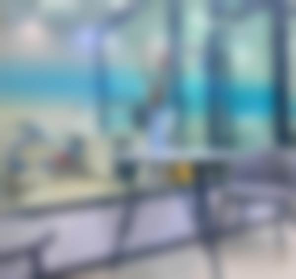 新疆阿克苏张静口腔（白玉口腔）特色诊疗项目与技术优势