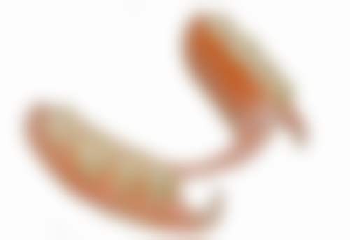 余博先医生项目收费价格