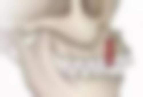 梅一飞学术与工程领域荣誉