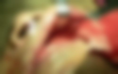 宁夏青铜峡雅康口腔地址电话、营业时间