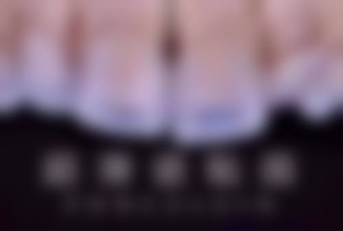 梅一飞商业投资情况