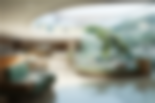 池州康诺口腔(西门店)医生团队介绍