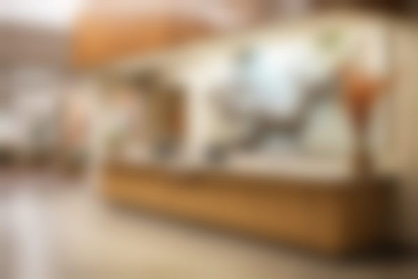 沈阳金顺口腔(铁西店)