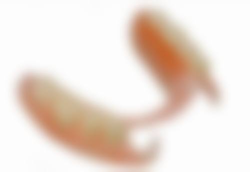 罗丹医生项目收费价格