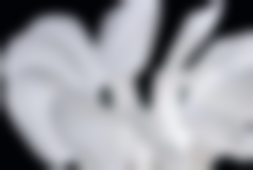 汪艳玲医生执医荣誉