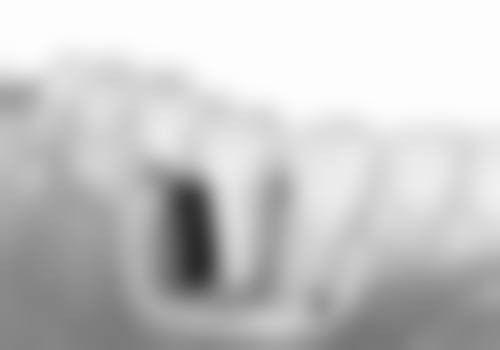 上海泰康拜博乐尔口腔收费价格表