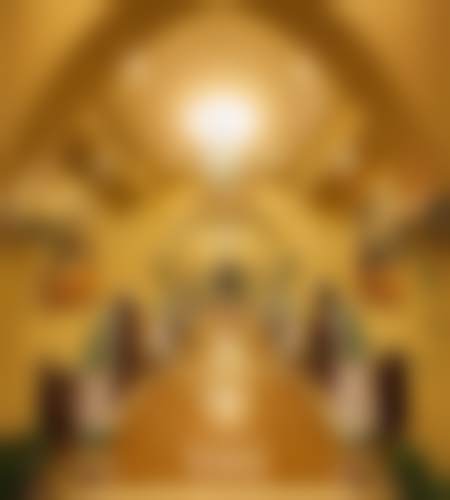 浙江台州亚非口腔门诊部医生团队介绍