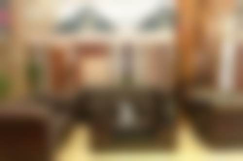 Alexander Herden（亚历山大·赫登）医生技术优势