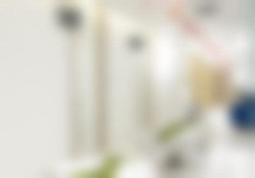 吕兰婷执医荣誉（此部分调整为学术相关职务荣誉）