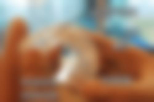 北京赛德阳光口腔门诊部地址电话、营业时间