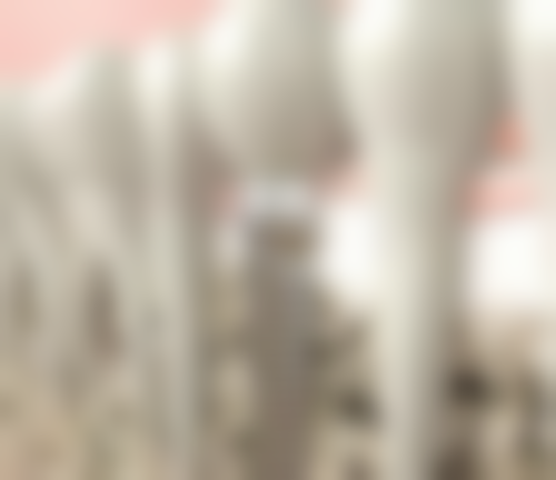 濮阳大山口腔(近水楼台店)预约挂号方式