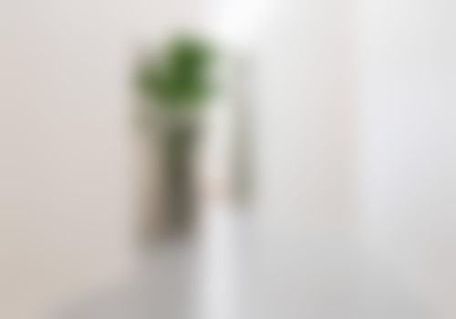 荆州向日葵口腔门诊部特色诊疗项目与技术优势