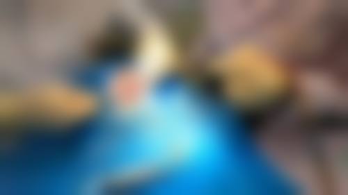 辛宇医生执医荣誉