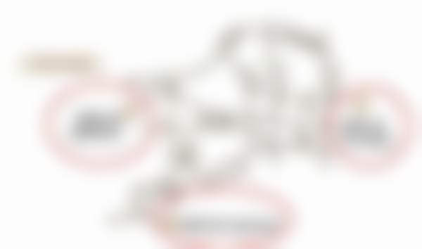 高换霞商业荣誉