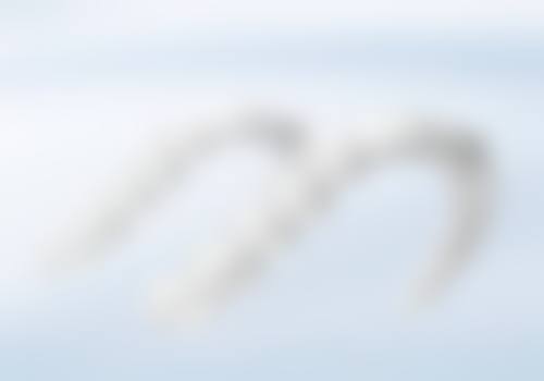 罗玉姣医生口碑评价及反馈内容