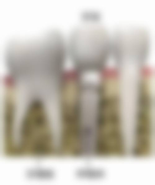 郑州管城美奥口腔门诊部预约挂号方式