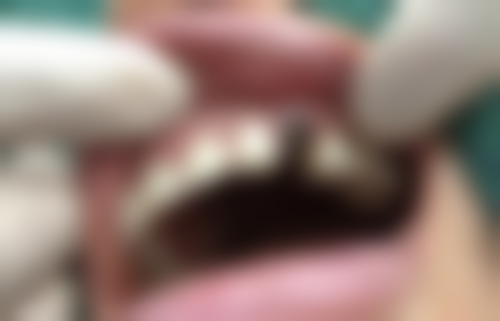 李力医生执医荣誉