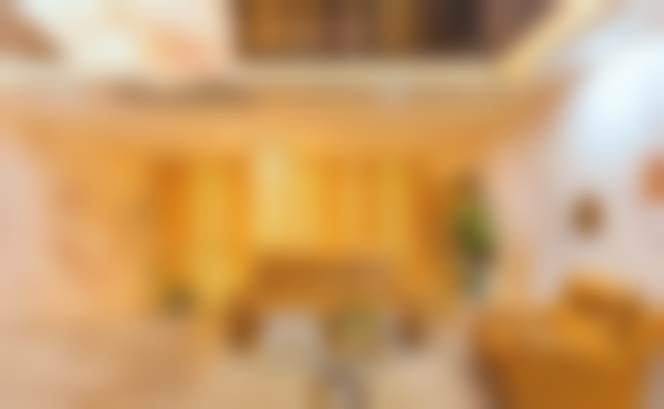 斯查尔曼医生技术优势