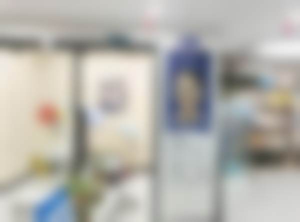 秦保雷医生执医荣誉