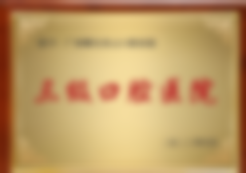 钟驰医生执医荣誉