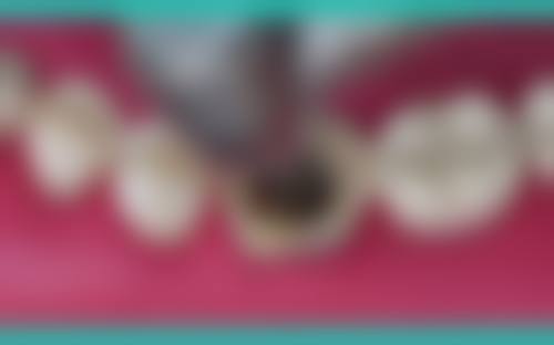 苗东波医生预约挂号