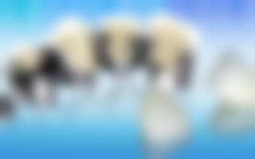 预约优惠活动