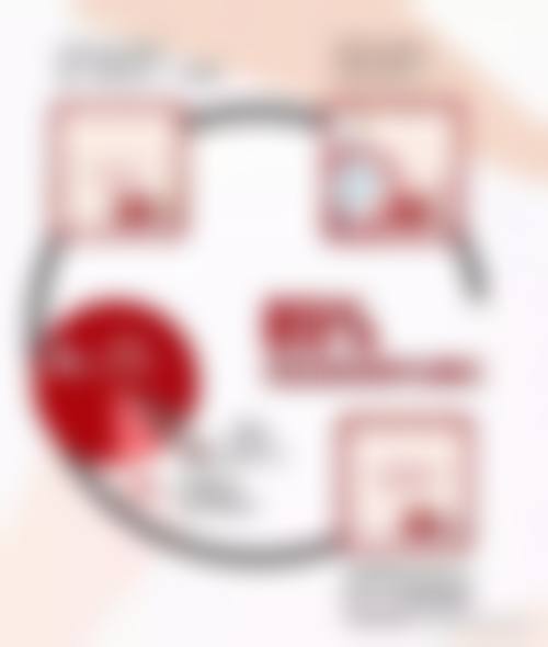 服务流程与预约方式