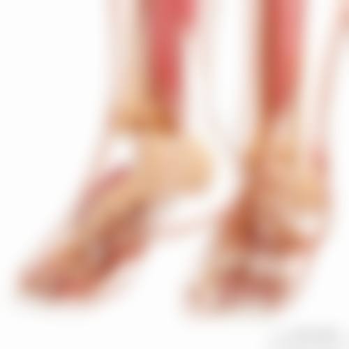 常见问题解答