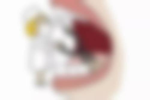 服务流程:用心服务,全程无忧