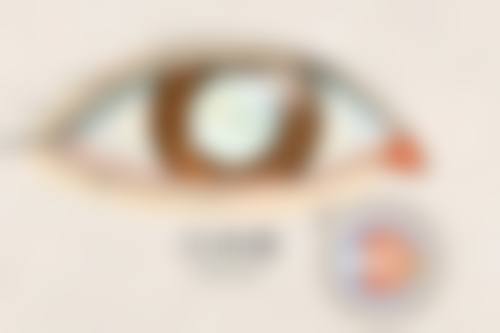 特色科室与项目：覆盖全眼科诊疗