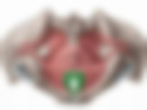 服务流程与客户关怀