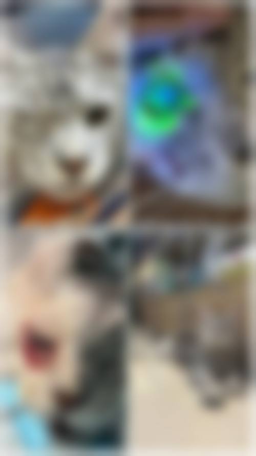 特色科室与诊疗项目