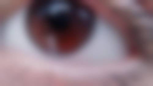 服务理念与管理体系
