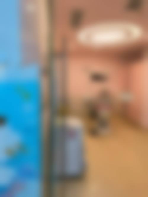 常见问题解答(FAQ)
