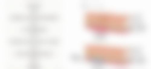 特色项目与技术——精细解决求美需求