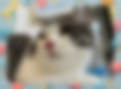 结尾预约号召