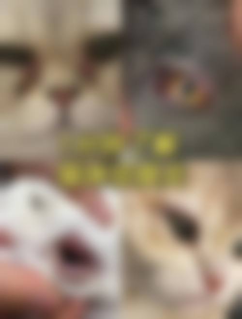 预约优惠活动