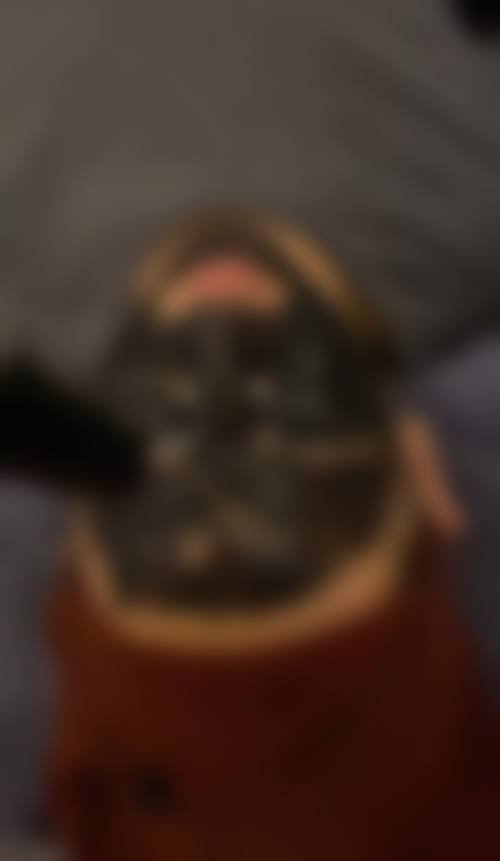 预约优惠活动