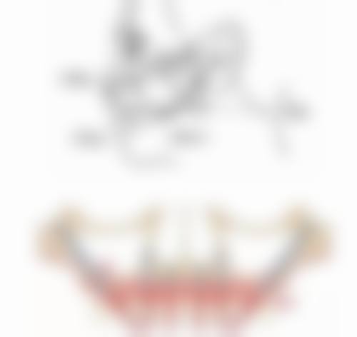 优惠活动详情